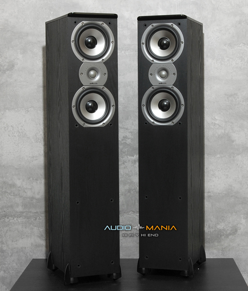 Polkaudio TSi 300 en AudioMania